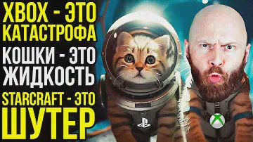 XBOX - это катастрофа. Кошки - это жидкость. StarCraft - это шутер